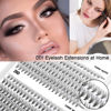 Picture of Individual Lashes D Curl 240Pcs 10D 20D Cluster Eyelash Extensions Bottom Lashes False Eyelash Clusters Mini Cluster Eyelashes Single Eyelashes Cluster DIY Eyelash Extensions at Home (10D/20D D 8-14)