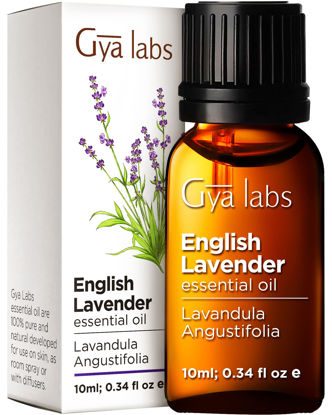Picture of Gya Labs English Lavender Oil Essential Oil for Diffuser- Lavender Oil Essential Oils for Skin - Lavender Essential Oil for Hair (0.34 Fl Oz)