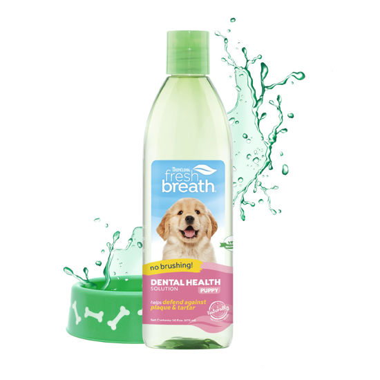 Dog teeth outlet cleaner water additive