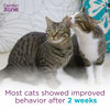 Picture of Comfort Zone Multi Cat Calming Diffuser Refills: 1-Pack