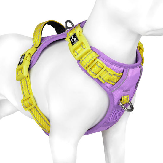 Picture of PHOEPET No Pull Dog Harness, Unique Colors Reflective Adjustable Dog Vest, with Soft Training Handle Metal Clips for Small Medium Large Dogs (Baby Purple Base & Yellow Straps,M)