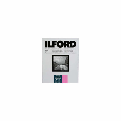 Picture of Ilford 1178274 8x10 RC Glossy 25+5 (30) Sheet