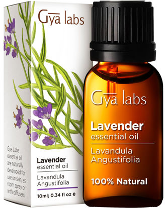 Picture of Gya Labs Lavender Oil Essential Oil for Diffuser - Lavender Oil Essential Oils for Skin, Lavender Essential Oil for Hair & Aromatherapy, Lavender Massage Oil (0.34 fl oz)