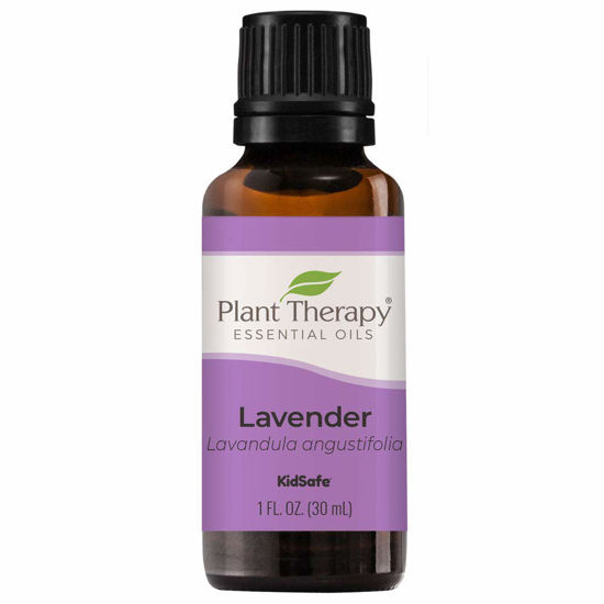 Picture of Plant Therapy Lavender Essential Oil 100% Pure, Undiluted, Natural Aromatherapy, Therapeutic Grade 30 mL (1 oz)