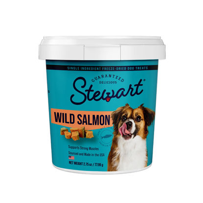 Picture of Stewart Freeze Dried Dog Treats, Wild Salmon, Grain Free & Gluten Free, 2.75 Ounce Resealable Tub, Single Ingredient, Dog Training Treats