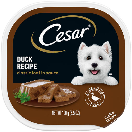 Cesar dry clearance food