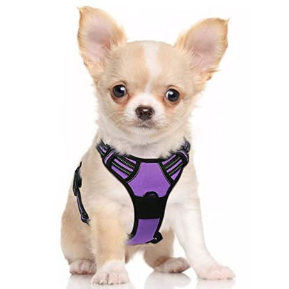 Picture of rabbitgoo Dog Harness, No-Pull Pet Harness with 2 Leash Clips, Adjustable Soft Padded Dog Vest, Reflective No-Choke Pet Oxford Vest with Easy Control Handle for Small Dogs, Purple, S