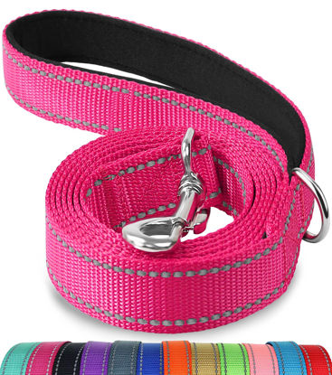 Picture of Joytale Double-Sided Reflective Dog Leash, 6 FT/5 FT/4 FT, Padded Handle Nylon Dogs Leashes for Small & Medium Dogs Walking, Hotpink, 5FT