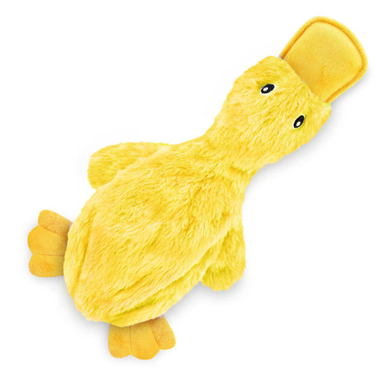 No stuffing no 2024 squeaker dog toys