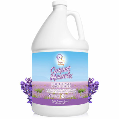 Picture of Carpet Miracle - Carpet Cleaner Solution Shampoo for Machine Use, Deep Stain Remover and Odor Deodorizing Formula, Use On Rug Car Upholstery and Carpets (Light Lavender Scent, 1 Gallon)