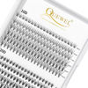 Picture of QUEWEL Cluster Lashes 240Pcs Individual Lashes 10D+20D C Curl Mix8-14mm Lash Extensions Clusters Lashes Soft&Natural False Eyelashes Individual DIY Eyelash Extension at Home(10D+20D C MIX8-14)