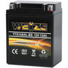 Picture of Weize YTX14AHL-BS High Performance - Rechargeable - Sealed Motorcycle Battery Compatible With Polaris Scrambler, Sportsman 90, Honda Scooters NQ50 Spree,Kawasaki 110 KLX110 Blue