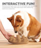 Picture of Outward Hound Nina Ottosson Dog Smart Tan Composite Interactive Treat Puzzle Dog Toy