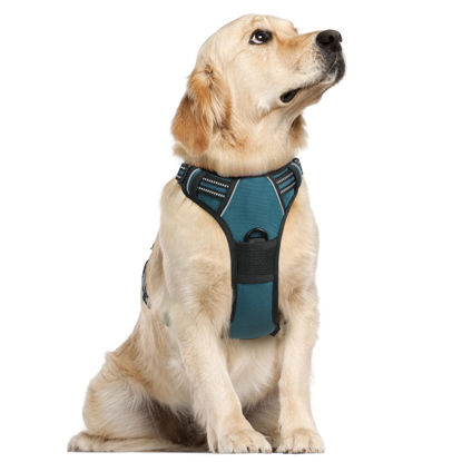 Picture of rabbitgoo Dog Harness, No-Pull Pet Harness with 2 Leash Clips, Adjustable Soft Padded Dog Vest, Reflective No-Choke Pet Oxford Vest with Easy Control Handle for Large Dogs, Blue Coral, L