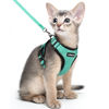 Picture of rabbitgoo Cat Harness and Leash for Walking, Escape Proof Soft Adjustable Vest Harnesses for Cats, Easy Control Breathable Reflective Strips Jacket, Emerald, M