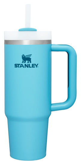 Stanley Quencher H2.0 FlowState Stainless Steel Vacuum Insulated Tumbler  with Lid and Straw for Water, Iced Tea or Coffee, Smoothie and More