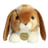 Picture of Aurora® Adorable Miyoni® Holland Lop Rabbit Stuffed Animal - Lifelike Detail - Cherished Companionship - Tan 9 Inches