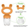 Picture of Haakaa Baby Fruit Food Pacifier Feeder | Breastmilk Popsicle Mold for Teething| Food Grade Silicone Feeder with Pouch Cover for Milk Freezing, Help Baby Teething Relief, BPA Free (Pumpkin)