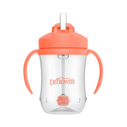 https://www.getuscart.com/images/thumbs/1163907_dr-browns-milestones-babys-first-straw-cup-sippy-cup-with-straw-6m-9oz270ml-coral-bpa-free_415.jpeg