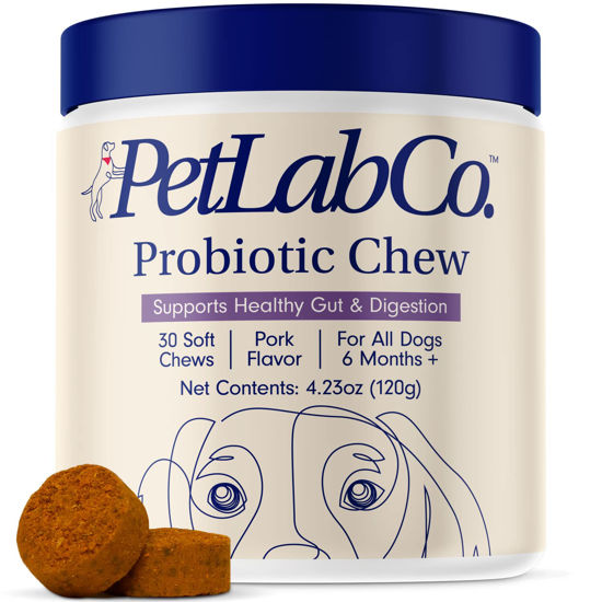 Picture of PetLab Co. Probiotics for Dogs, Support Gut Health, Digestive Health & Seasonal Allergies - Pork Flavor - 30 Soft Chews - Packaging May Vary