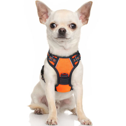 Picture of rabbitgoo Dog Harness, No-Pull Pet Harness with 2 Leash Clips, Adjustable Soft Padded Dog Vest, Reflective No-Choke Pet Oxford Vest with Easy Control Handle for Small Dogs, Orange,XS