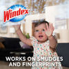 Picture of Windex Glass and Surface Pre-Moistened Wipes, Original, 38 Count