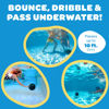 Picture of Watermelon Ball - The Ultimate Swimming Pool Game | Pool Ball for Under Water Passing, Dribbling, Diving and Pool Games for Teens, Kids, or Adults | Balls Fills with Water (9 inch Ball (Blue))