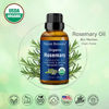 Picture of Organic Rosemary Essential Oil 30 ml - Certified USDA Pure, Natural Therapeutic Grade Rosemary Oil -for Aromatherapy, Skin, and Hair Care - Rosemary Oil for Hair Growth Organic - Nexon Botanics