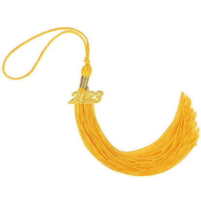 Picture of Graduation Tassel Academic Graduation Tassel with 2023 Year Charm Ceremonies Accessories for Graduates (Gold)