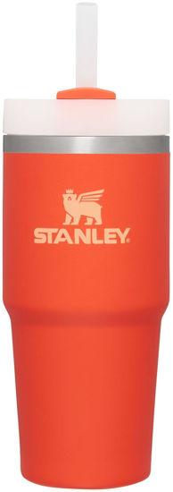 STANLEY Quencher H2.0 FlowState Vacuum Insulated Stainless Steel Tumbler  with Lid and Straw for Water, Iced Tea or Coffee, Smoothie and More, 30  Ounce : : Home & Kitchen