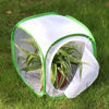 Picture of RESTCLOUD Insect and Butterfly Habitat Cage Terrarium Pop-up 12 X 12 X 12 Inches