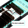 Picture of VAVALASH Colored Easy Fan Eyelash Extensions 0.07 C Curl 8-15mm Mixed Tray Brown Self Fanning Lashes 2D-10D Colorful Volume lash extensions（Brown,0.07-C-8-15 Mix）