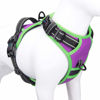 Picture of PHOEPET 2019 No Pull Dog Harness Medium Reflective Front Clip Vest with Handle,Adjustable 2 Metal Rings 3 Buckles,[Easy to Put on & Take Off](M, Purple)