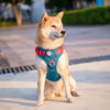 Picture of PHOEPET No Pull Dog Harness, Unique Colors Reflective Adjustable Dog Vest, with Soft Training Handle Metal Clips for Small Medium Large Dogs (Teal Base & Red Straps,XL)