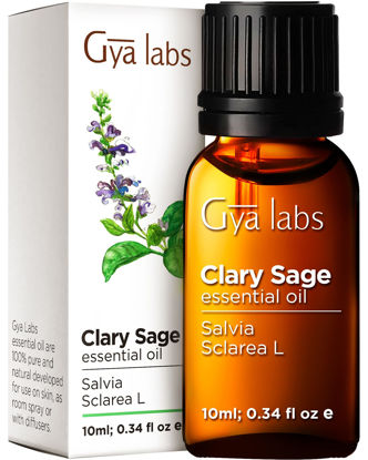Picture of Gya Labs Clary Sage Essential Oil for Diffuser - 100% Pure Therapeutic Grade Clary Sage Oil Essential Oil - Clary Sage Essential Oil for Skin, Hair Growth & Aromatherapy (0.34 fl oz)