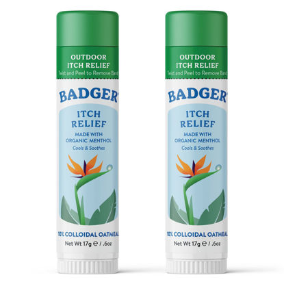 Picture of Badger Mosquito Bite Itch Relief, Organic Afterbite Insect Bite Treatment, Anti Itch Cream, Bug Bite Relief, Easy to Carry Travel Stick, 0.6 oz (2 Pack)