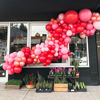 Picture of Red Balloons 110 Pcs Red Balloon Garland Kit Different Sizes 5 10 12 18 Inch Red Balloons for Birthday Valentine's Day Party Decorations