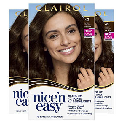 Picture of Clairol Nice'n Easy Permanent Hair Dye, 4G Dark Golden Brown Hair Color, Pack of 3
