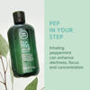 Picture of Tea Tree Special Shampoo, Deep Cleans, Refreshes Scalp, For All Hair Types, Especially Oily Hair, 2.5 fl. oz.