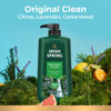 Picture of Irish Spring Original Clean Body Wash, 30 Oz Pump