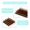 Picture of Colored Lash Extensions 0.07mm C Curl Brown Individual Volume Lashes Extensions 13-20 Mix Length Color Eyelash Extensions for Salon (Brown 0.07-C, 13-20mm)