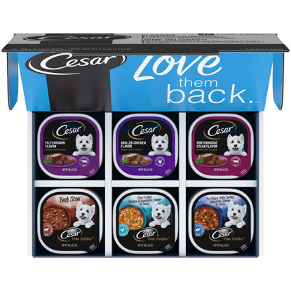 Picture of CESAR Wet Dog Food HOME DELIGHTS & Classic Loaf in Sauce Variety Pack, (36) 3.5 oz. Easy Peel Trays