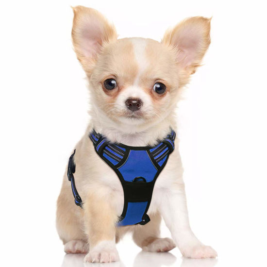 Picture of rabbitgoo Dog Harness, No-Pull Pet Harness with 2 Leash Clips, Adjustable Soft Padded Dog Vest, Reflective No-Choke Pet Oxford Vest with Easy Control Handle for Small Dogs, Dazzling Blue, S