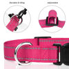 Picture of TagME Reflective Nylon Dog Collars, Adjustable Classic Dog Collar with Quick Release Buckle for Extra Large Dogs, Hot Pink, 1¼" Width