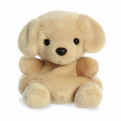 Picture of Aurora® Adorable Palm Pals™ Sunny Lab™ Stuffed Animal - Pocket-Sized Fun - On-The-Go Play - Brown 5 Inches