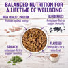 Picture of Wellness Complete Health Small Breed Dry Dog Food with Grains, Natural Ingredients, Made in USA with Real Turkey, For Dogs Up to 25 lbs, (Adult, Turkey & Oatmeal, 4-Pound Bag)