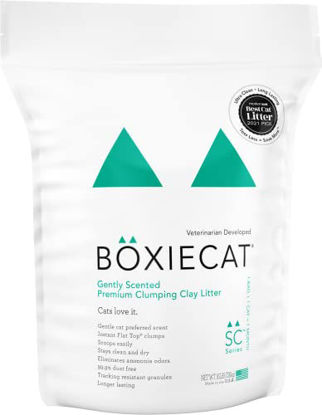 Picture of Boxiecat Premium Clumping Clay Cat Litter, Gently Scented, 16lbs - Longer Lasting Odor Control - Hard, Non Stick Clumps - Stays Ultra Clean - 99.9% Dust Free