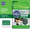 Picture of Cat's Pride Max Power Clumping Hypoallergenic Multi-Cat Litter 15 Pounds, Natural Care