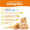 Picture of Zesty Paws Calming Chews for Cats - Composure & Relaxation for Everyday Stress & Separation - with Ashwagandha, Organic Chamomile, L-Theanine & L-Tryptophan - Bacon - 60 Count - Cat