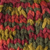 Picture of Bernat Blanket Yarn, Harvest